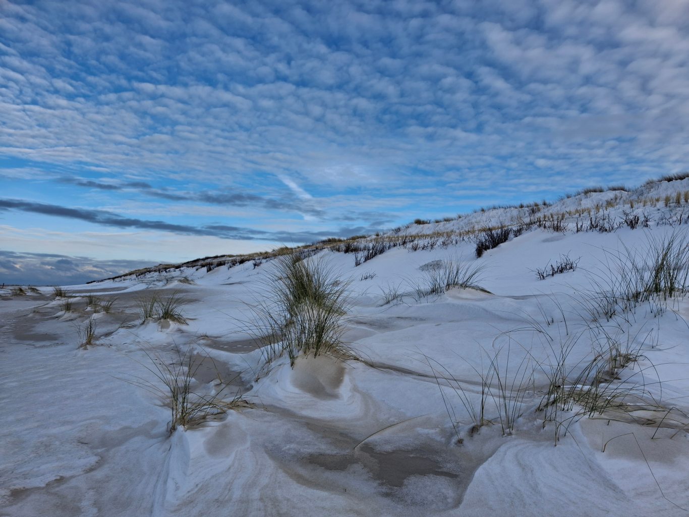 .... so besonders, auf einer Insel mitten in der Nordsee .... .... so besonders, auf einer Insel mitten in der Nordsee ....