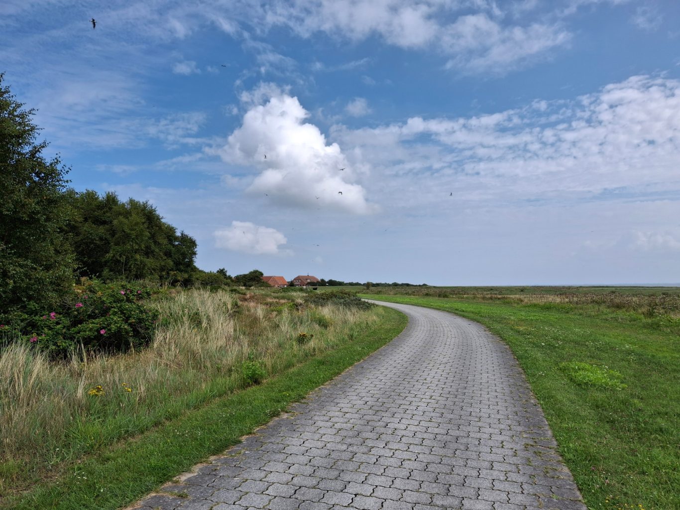 Es geht in Richtung Inselosten. Die Meierei kommt in Sicht Es geht in Richtung Inselosten. Die Meierei kommt in Sicht