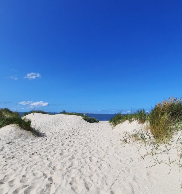 Naturpfad Flinthörn Dünenübergang zur Accumer Ee am Weststrand Dünen am Flinthörn mit klarem blauen Himmel und der Accumer Ee im Hintergrund mit Blick auf Baltrum
