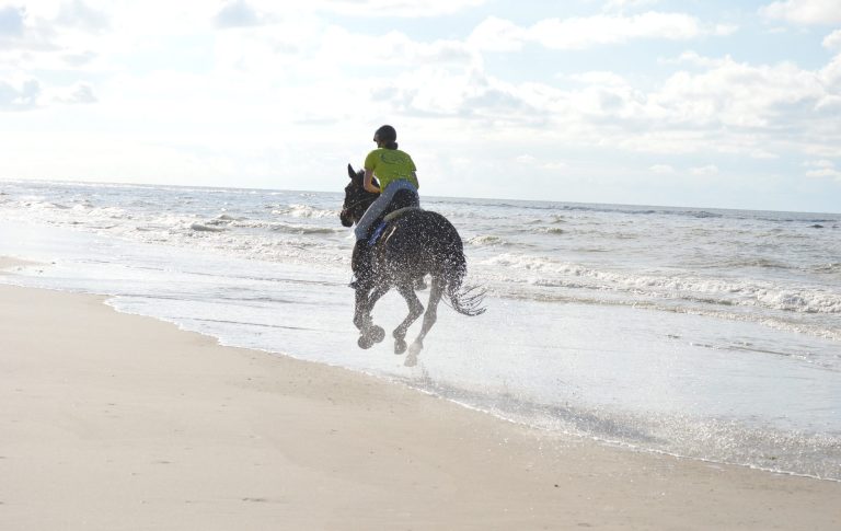 Reiter im Galopp am Strand von Langeoog. Reiterträume werden wahr. Reiter im Galopp am Strand von Langeoog. Die Gischt spritzt und die Sonne scheint.